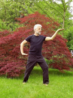 Tai Chi half gevorderden voorjaar