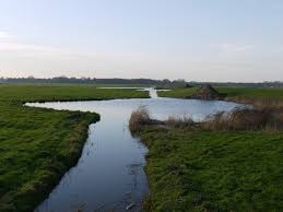 Wandeling Eemland ca. 12 km