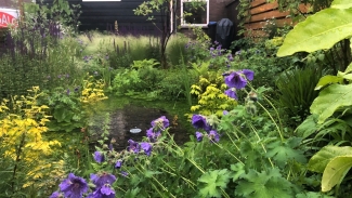 Ontwerp je eigen tuin