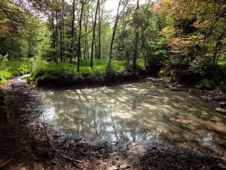 Wandeling Boswachterij De Vuursche - ca. 12 km