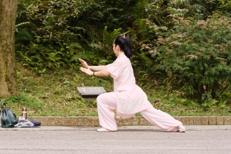 Tai Chi beginners voorjaar